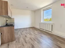 Pronájem bytu 2+kk, Louny, Říční, 38 m2