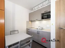 Pronájem bytu 1+kk, Praha - Braník, Údolní, 27 m2