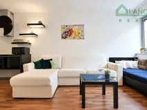 Pronájem bytu 1+kk, Brno, Hybešova, 36 m2