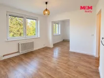 Pronájem bytu 3+1, Hranice, Zahradní, 76 m2