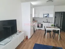 Pronájem bytu 1+kk, Vyškov, Sídliště Osvobození, 42 m2