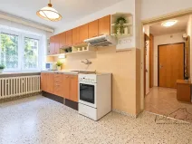 Pronájem bytu 1+1, Přerov, Č. Drahlovského, 45 m2