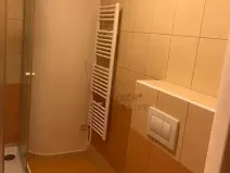 Pronájem bytu 1+kk, Litoměřice, Nerudova, 32 m2