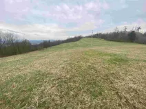 Dražba louky, Mírová pod Kozákovem, 14714 m2