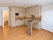 Prodej bytu 1+kk, Kladno, Lesík, 33 m2