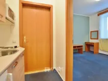 Pronájem bytu 1+kk, Brno, Horova, 27 m2