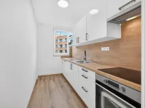 Pronájem bytu 2+1, České Budějovice, L. M. Pařízka, 53 m2