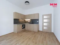 Pronájem bytu 2+kk, Plzeň - Jižní Předměstí, Americká, 62 m2