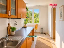 Pronájem bytu 3+1, Černousy, 66 m2