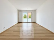 Pronájem bytu 1+kk, Olomouc, Třída Jiřího Pelikána, 35 m2