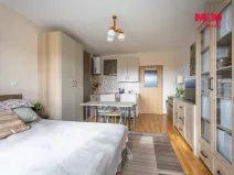 Prodej bytu 1+kk, Brandýs nad Labem-Stará Boleslav - Brandýs nad Labem, Vrábská, 30 m2