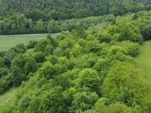 Dražba louky, Skorotice, 6028 m2