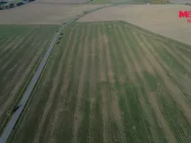 Prodej pole, Moravany, 5390 m2