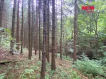 Prodej lesa, Strážná, 11485 m2