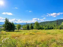 Prodej komerčního pozemku, Jeseník, 988 m2