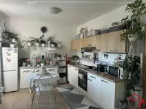 Pronájem bytu 1+kk, Napajedla, 50 m2