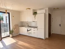 Prodej bytu 1+kk, Praha - Košíře, Holečkova, 30 m2