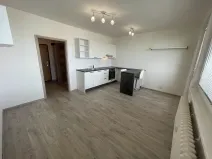 Pronájem bytu 1+kk, Praha - Chodov, Bachova, 25 m2