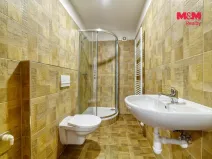 Pronájem bytu 1+1, Františkovy Lázně, 34 m2