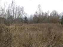 Dražba pozemku, Horní Planá, 1390 m2