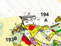 Dražba lesa, Volfířov, 536 m2