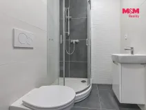 Pronájem bytu 2+kk, Opava - Předměstí, Pekařská, 53 m2