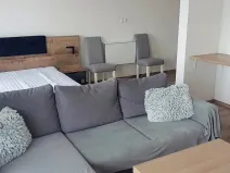Pronájem bytu 1+kk, Plzeň, Pecháčkova, 42 m2