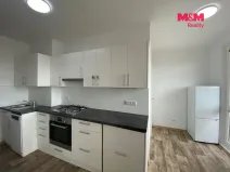 Pronájem bytu 1+1, Nový Jičín, Dlouhá, 44 m2