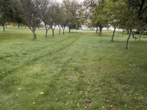 Prodej chaty, Líšná, 40 m2