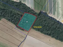 Prodej lesa, Kovanice, 8552 m2