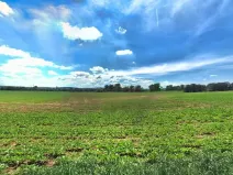 Prodej pole, Opava, 33861 m2