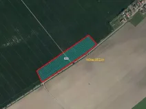 Prodej pole, Lužec nad Cidlinou, 25308 m2