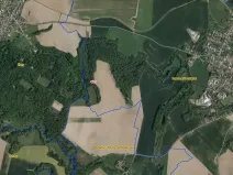 Prodej lesa, Ronov nad Doubravou, 964 m2