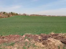 Prodej pozemku pro bydlení, Chlumec nad Cidlinou, 20781 m2