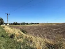 Prodej komerčního pozemku, Tuřany, 28748 m2
