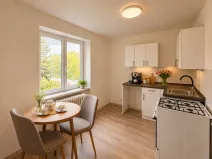 Pronájem bytu 1+1, Litvínov, Podkrušnohorská, 30 m2