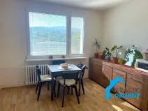 Prodej bytu 1+1, Jílové, Spojová, 33 m2