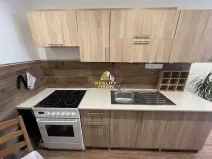 Prodej bytu 2+kk, Litvínov, Podkrušnohorská, 38 m2