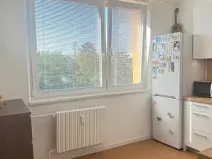 Pronájem bytu 1+1, Kroměříž, Úprkova, 36 m2
