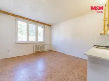 Prodej bytu 1+1, Aš, Hlavní, 36 m2