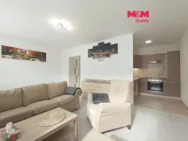 Pronájem bytu 1+kk, Slaný, Na Dolíkách, 33 m2