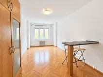 Pronájem bytu 1+kk, Praha - Žižkov, Biskupcova, 30 m2