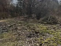 Prodej podílu pozemku, Kamenice, 1081 m2