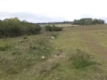 Prodej pole, Tachov, 3504 m2