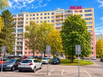 Prodej bytu 1+kk, Pardubice - Polabiny, kpt. Bartoše, 30 m2