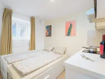 Prodej bytu 1+kk, Praha - Krč, Čerčanská, 15 m2