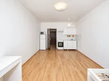 Prodej bytu 1+kk, Praha - Vysočany, Freyova, 33 m2