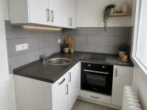 Pronájem bytu 1+kk, Litvínov, Studentská, 32 m2