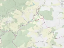 Dražba lesa, Řečice, 350 m2