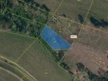 Dražba lesa, Velké Meziříčí, 1312 m2